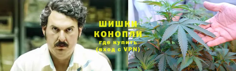 Шишки марихуана SATIVA & INDICA  купить   Коломна 